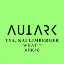TYA - What!? (Kai Limberger Remix)