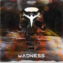 Aerials - Madness (Original Mix)