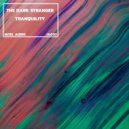 The Dark Stranger - Point To The Sky