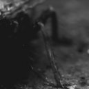 BLACK CROW - Repressed Anger (Original Mix)