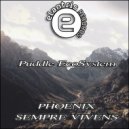 Puddle EcoSystem - Phoenix (Original Mix)