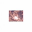 Mindfulness Healing BGM Project - Bougainvillea and relax