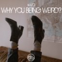 soJO. - Why You Being Weird? (Original Mix)