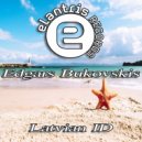 Edgars Bukovskis - Latvian ID (Original Mix)
