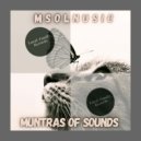 Msolnusic - Muntras Of Sound (Flipside Mix)