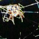 SPVRROW & TWOPAIN - SLOW DOWN ()