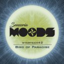 startech42 - Bird of Paradise (Original Mix)
