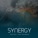 Hydraulx & Soul Gondwana - Synergy (Original Mix)