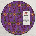 Brothers Groove - Sensation