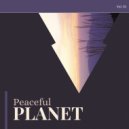 Ric Zimmerman - Tranquil Luxury (Original Mix)