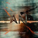 Aurora Night - Wait