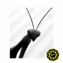 The Wodka - Life You Fear (Original mix)