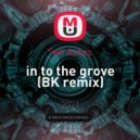 Salt Ashes - in to the grove (BORO remix)