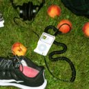 Cute Door - Night Tennis