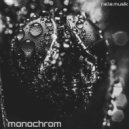 ralle.musik - Monochrom ()