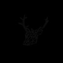 Deer Mx  - Alive