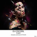 Dj Cocodil - Funky