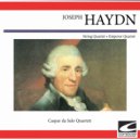 Caspar da Salo Quartett - String Quartet op. 1 no. 1 in B flat major (Hunting Quartet) - Adagio ()