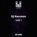 Dj Vl Raccoon - UDE 1 (Original)