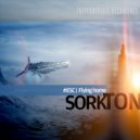 Sorkton - Flying Home