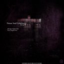 Nature Soul Cybertronic - Vyzar