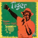 Tiger - Watch Me Company