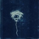 Alixx - The Curse of Xaint Xir-Walter