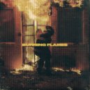 l19u1d - BURNING FLAMES (Original Mix)
