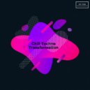 D Apollo - Curative Souls (Chill Tech House Sounds)