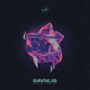 Gavnlig - Frequencies (Original Mix)