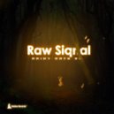 Raw Siqnal - Moon Light (Original Mix)