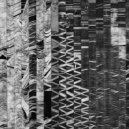 Christian Morgenstern - Malaria