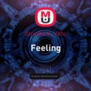 Struzhkin, Vitto - Feeling (Original Mix)