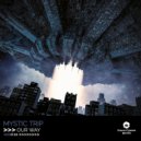 Mystic Trip - Our Way