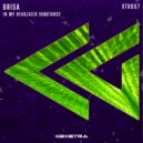 Brisa (ES) - Acid Substance (Original Mix)