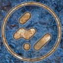 Dez Williams - hashing past (Original Mix)