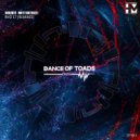 Hannes Matthiessen - Rho 17 (Original Rework)