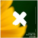 Break2Break - Victime Du System (Alan Bass Mix)