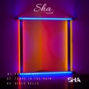 SHA feat Stevie C - Manhoar (Original Mix)