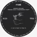 Lenny Cesar - Good Old Fashioned Fun