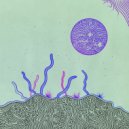 Hassio (COL) - Flash the Move