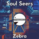 Soul Seers - Zebra (Original Mix)