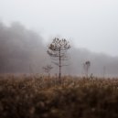 Innesti - We Float Here (Original Mix)