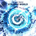 Ahmed Walid - Strange World (Original Mix)