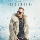 Kolya Funk - December 2021 Megamix ()