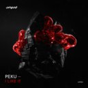 Peku - I Like It (Original Mix)