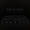 Homayoun Behi - Tod Von Maria (Original Mix)