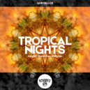 Gorvellos - Tropical Nights (Martijn Shinestarr ReMode)
