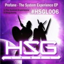 Profane - Singularity ()