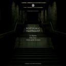 Sceptical C - I Dont Speak German